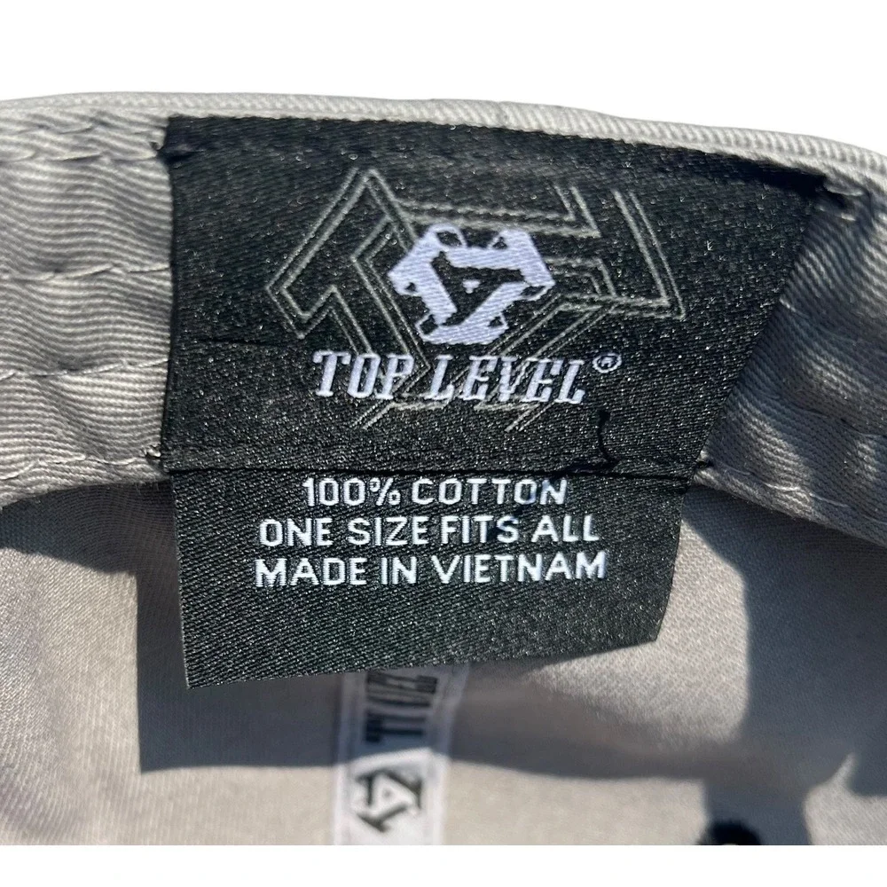 Top Level Ben Franklin Gray Flames SnapBack Money Dollar Bill Hat/Cap  NWT
